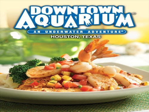 Downtown Aquarium Downtown Aquarium