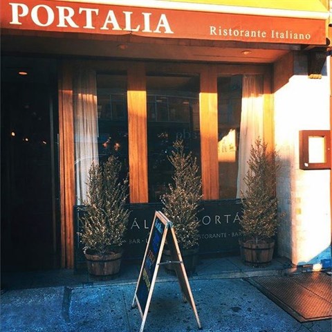 Portalia Portalia