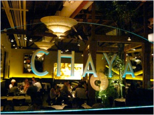Chaya Brasserie Chaya Brasserie