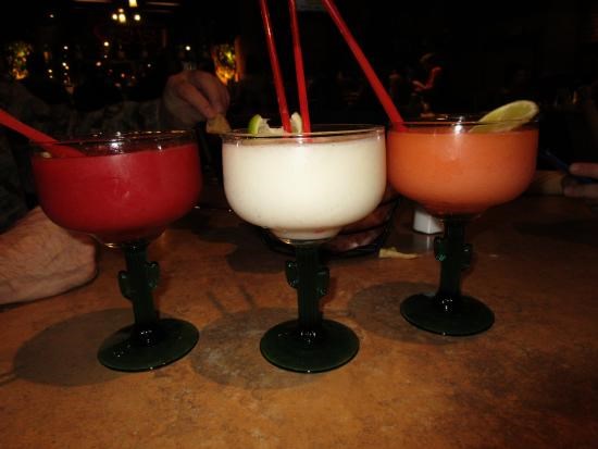 Dos Gekos Cantina Dos Gekos Cantina