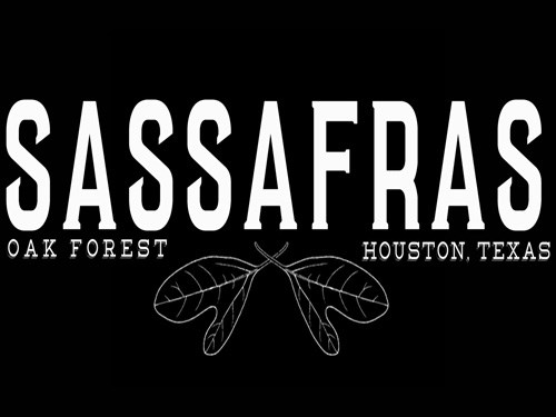 Sassafras Sassafras