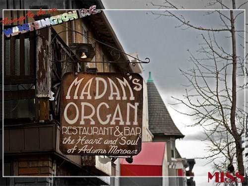Madam's Organ Madam's Organ