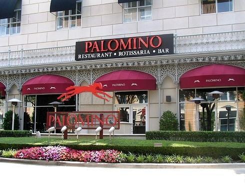 Palomino Palomino