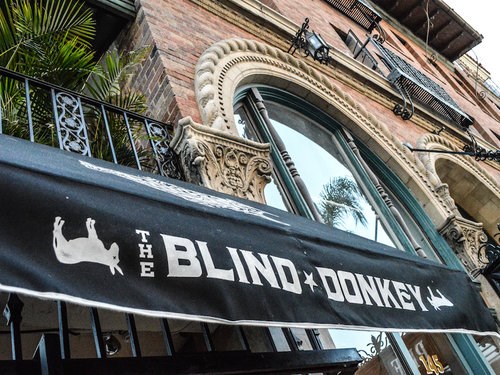 The Blind Donkey The Blind Donkey