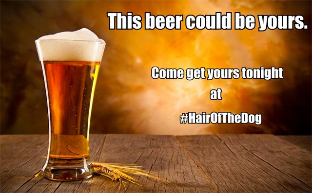 Hair of the Dog Hair of the Dog
