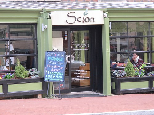 Scion Scion