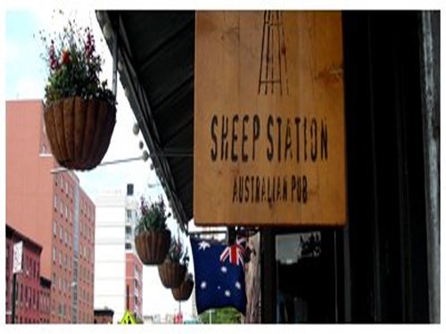Sheep Station Sheep Station