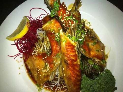 Sakana Sushi and Grill Sakana Sushi and Grill